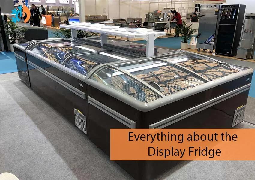 all about Commercial display fridge