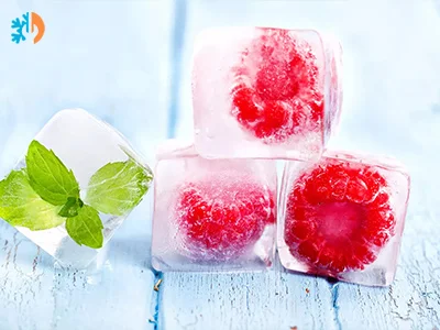 ice maker ice types